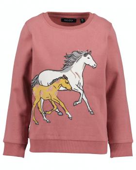 Sweater Pferd und Fohlen 128