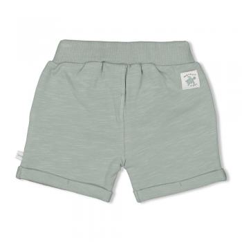 Short - Turtelly Cool 80